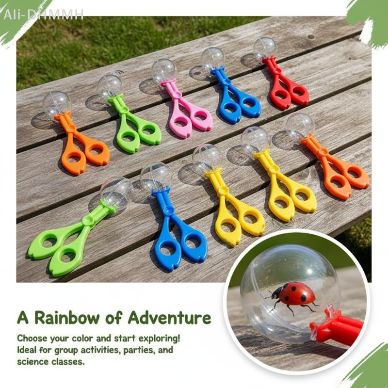 야외 활동 곤충 잡이기 클립 5개 컬러 버블 큰 구슬  - Outdoor Adventure With Kids 리뷰 및 가격